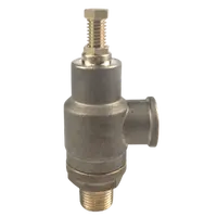 Bronze Pressure Relief Valve